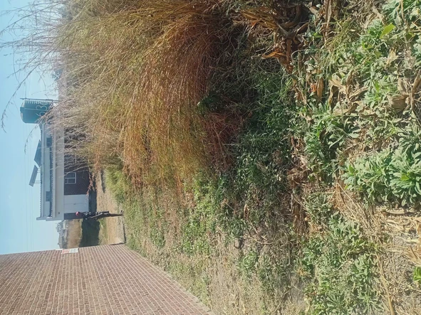 Commercial & Industrial Land