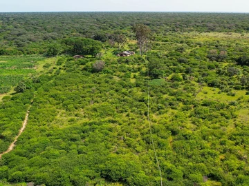 Farm & Agricultural Land