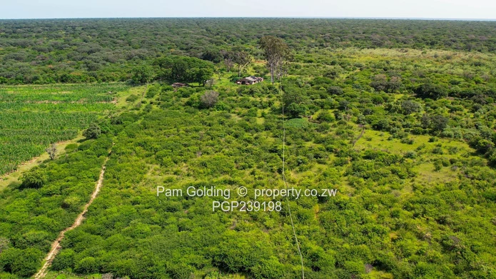 Nyamandlovu 1026 farm for sale