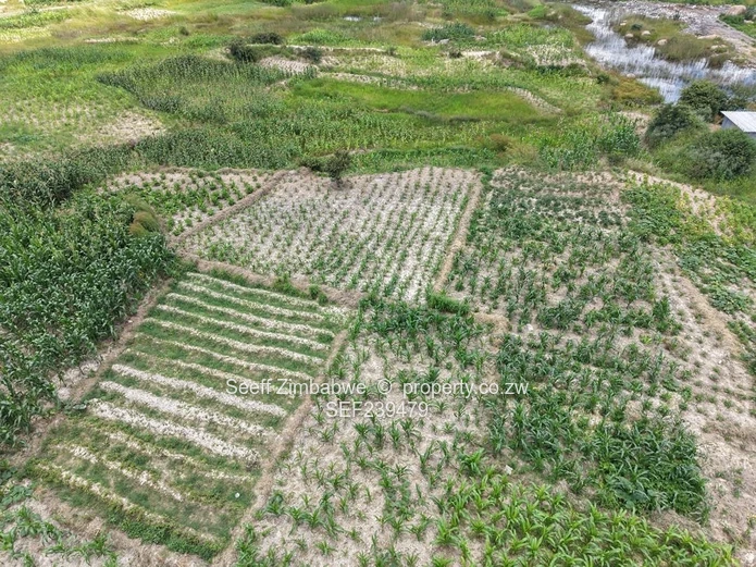 Pan-Handle Industrial Stand Accepting Terms 