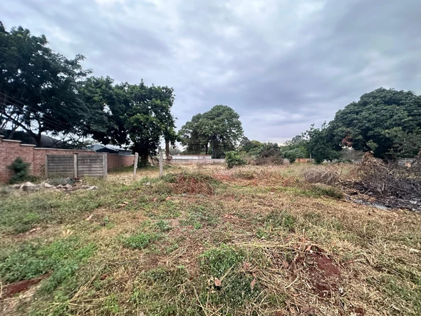 Stands & Residential Land