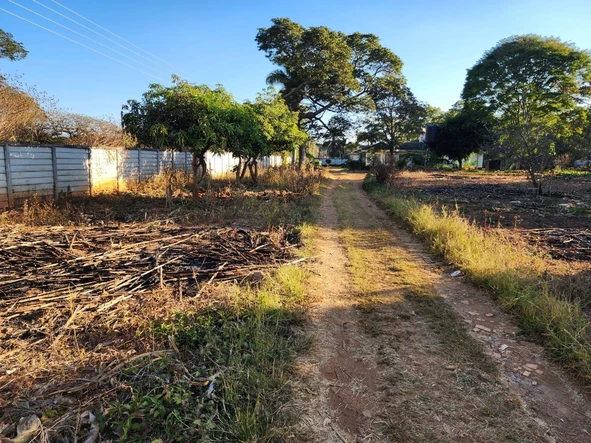 Stands & Residential Land