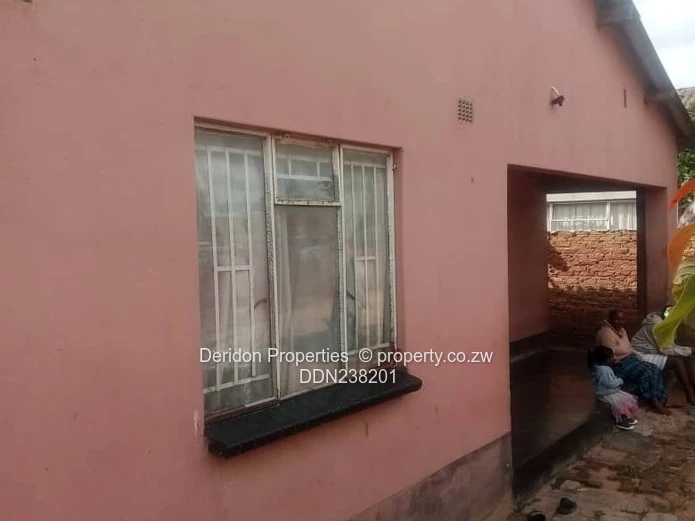 Investor s delight  (Sole Mandate)