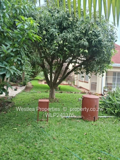 An opportunity not to miss