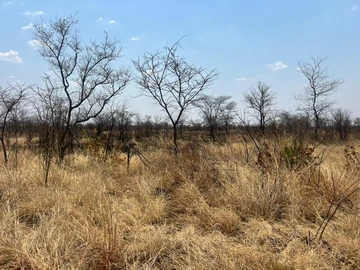 Farm & Agricultural Land