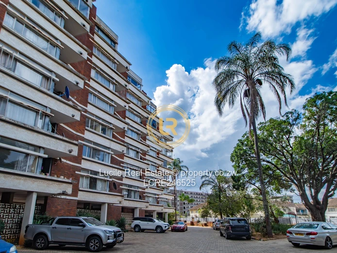 Neat Apartment In Avenues