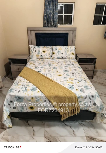 Beautiful 3-Bedroomed Flat Fully Furnised