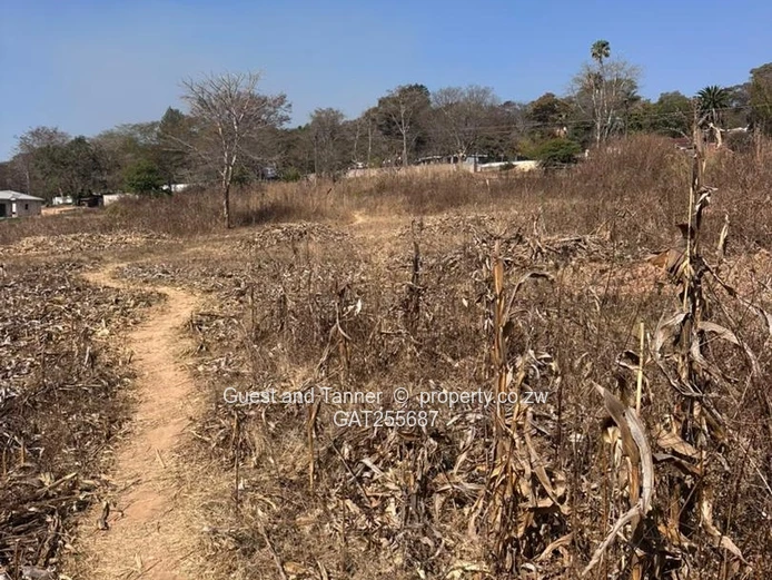 Premium Glen Lorne Stand for Sale - 3,200m² w/Title Deed