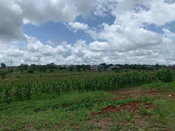 Land For Sale In The Grange 