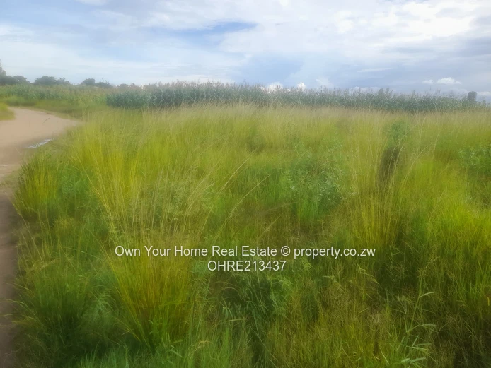 Hatfield, Chiremba Park for sale