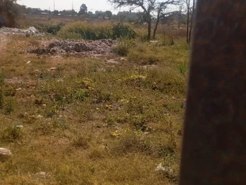 Commercial & Industrial Land