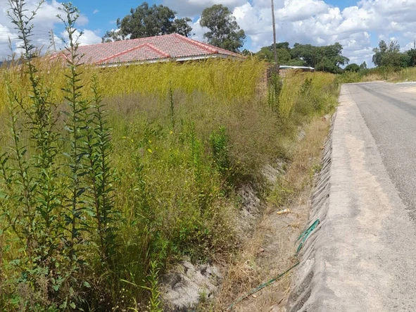 Stands & Residential Land