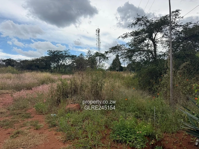 1500 sqm Quinnington Stand — Tarred Road, Sewered & Subdivision-Ready