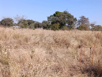 Land