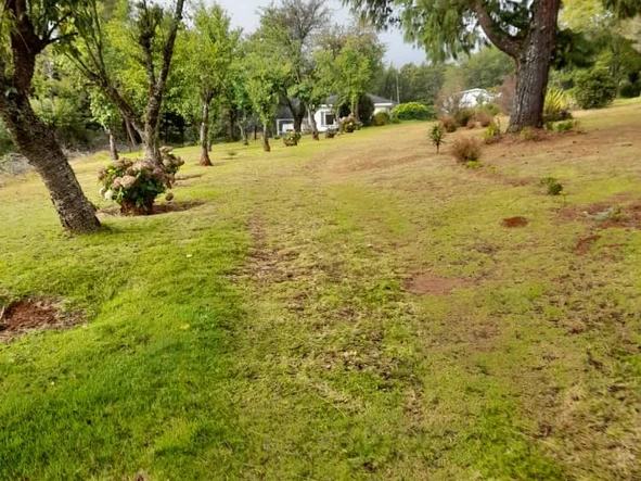 Nyanga Lodge: Spacious, Furnished & Borehole Equipped Oasis