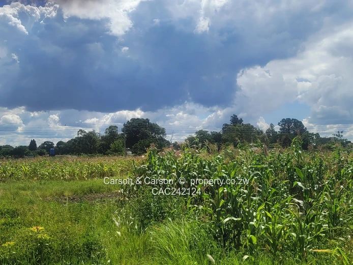 Prime, well established and mature suburb of Chadcombe with massive invetment potential