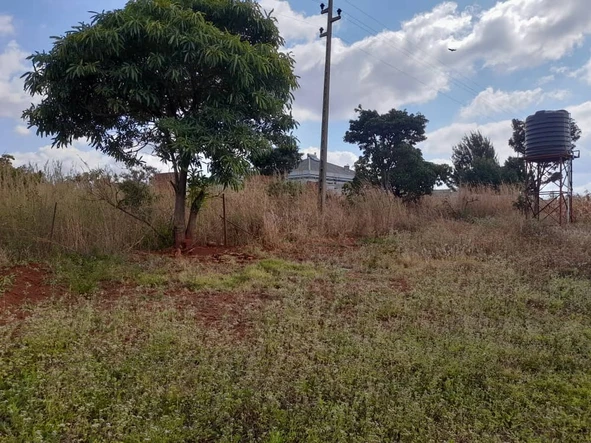 Stands & Residential Land