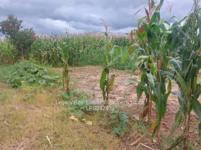 Exclusive Listing: Haydon Park Stand with Well & ZESA On Site