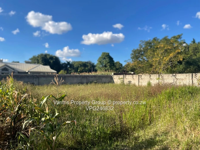 Bluff Hill Stand For Sale