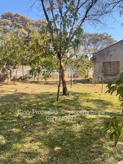 Commercial Property To Let – Borrowdale West