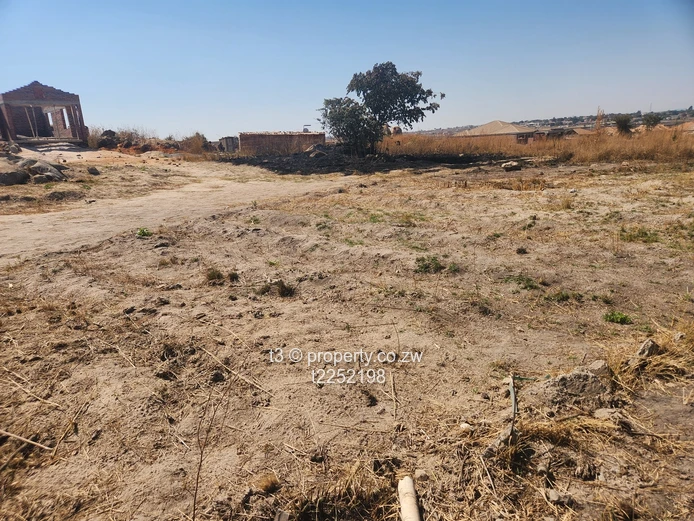 Ruwa Goshen Park Stand for Sale