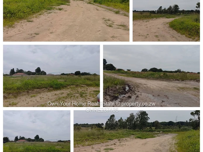 Greenskye Ruwa stands for sale 