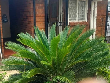 2 Bedroom Garden Flat