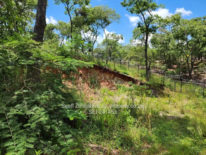 Elevated Luxury: Prime Residential Sanctuary in Shawasha Hills Estate