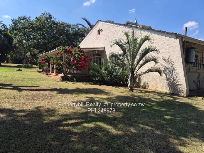 Furnished 4-Bed in stortford — 9000m² Garden & Borehole