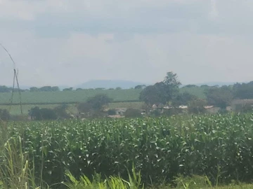 Farm & Agricultural Land