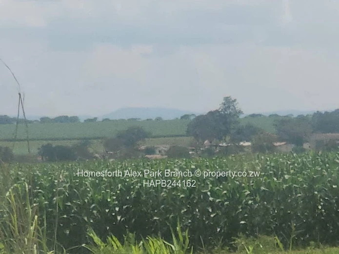 Banket Farm For Sale