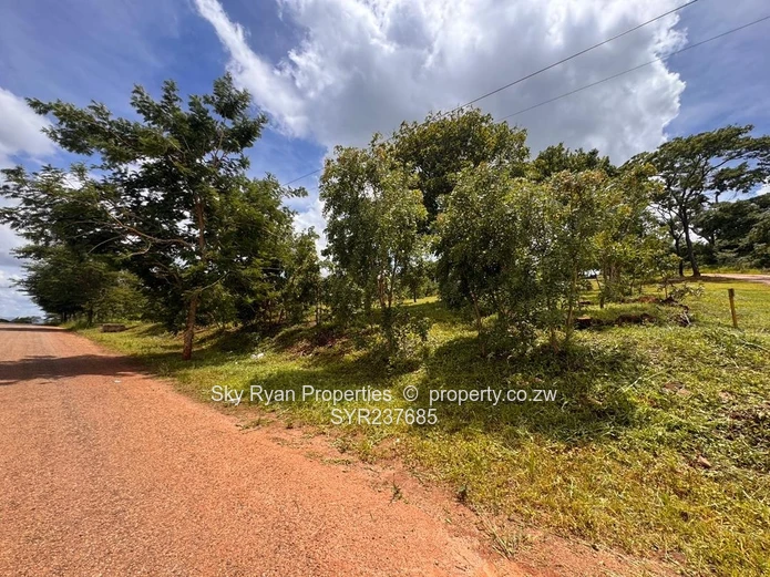 Shawasha Hills Estate Stands For Sale