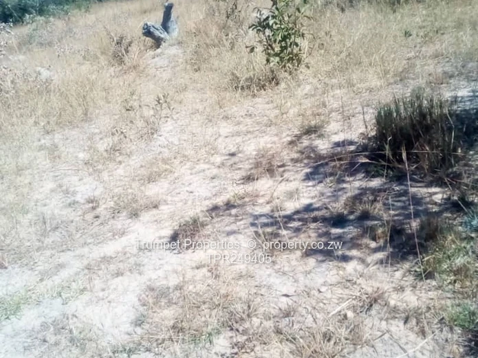 5ha Arable & Grazing Farm for Sale in Mvurwi