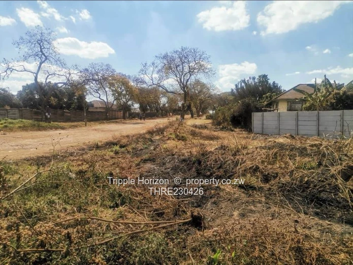 Stand for sale (Sole Mandate)