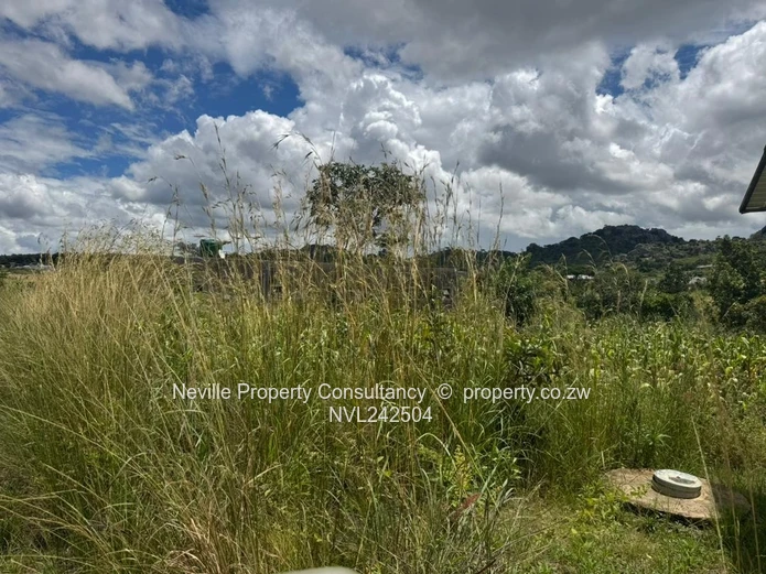 Crowhill views Ruyamuro