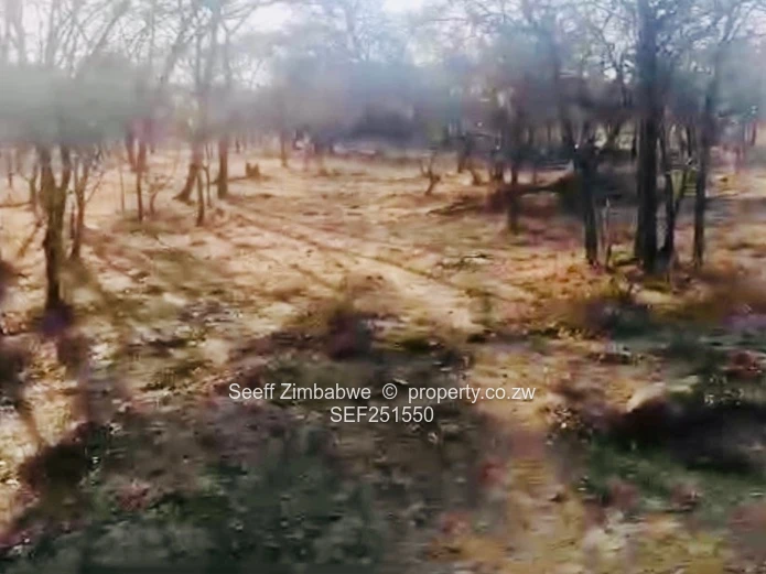 Prime Agri-Residential Plots in Kwekwe: Unleash the Potential!