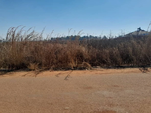 Stands & Residential Land