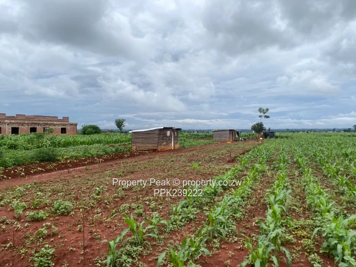 Mount Pleasant Heights Stand For Sale