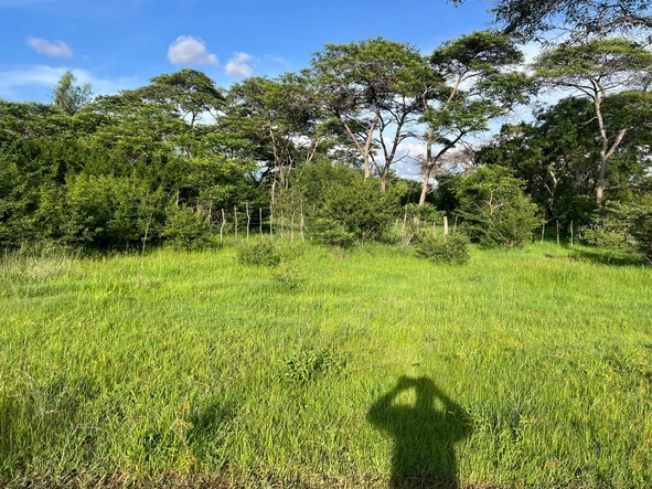 Farm & Agricultural Land