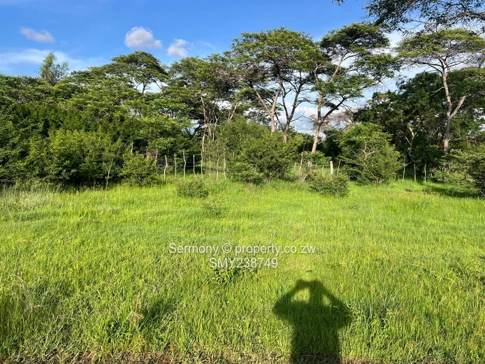 Agricultural Farm For Sale