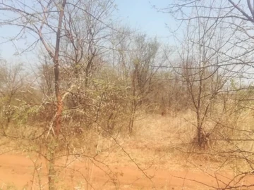 Farm & Agricultural Land