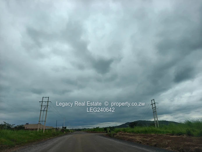 Haydon Park Gated Community Stands For Sale 