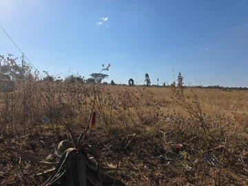 Farm & Agricultural Land