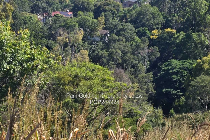 A Rare Hillside Sanctuary In Helensvale – 1.3 HA (Sole Mandate)