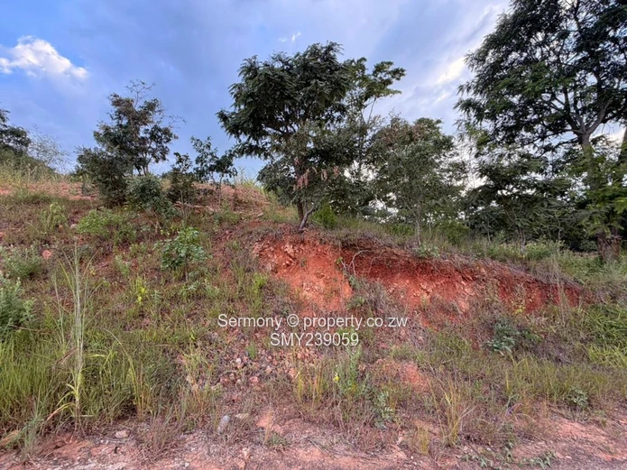 Prime Carrick Creagh Estate Stands For sale