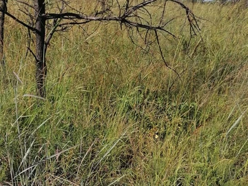 Farm & Agricultural Land