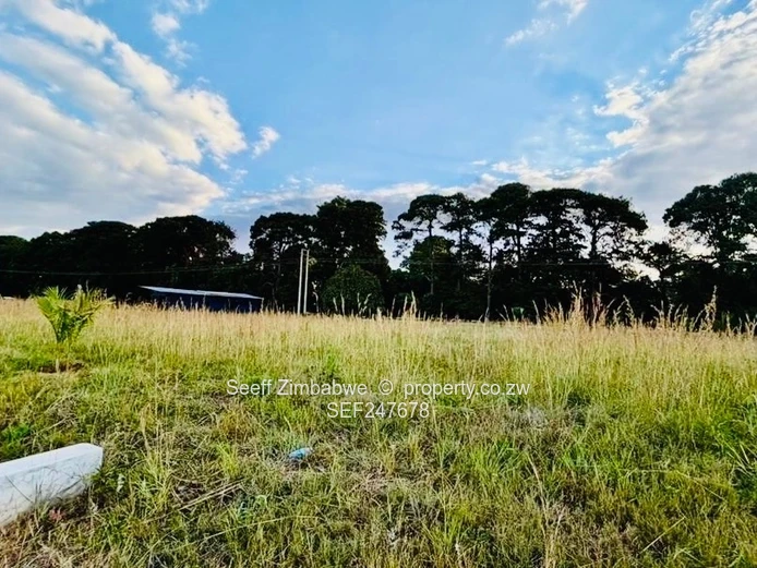 Pomona City Stand- Ready to build (Sole Mandate)