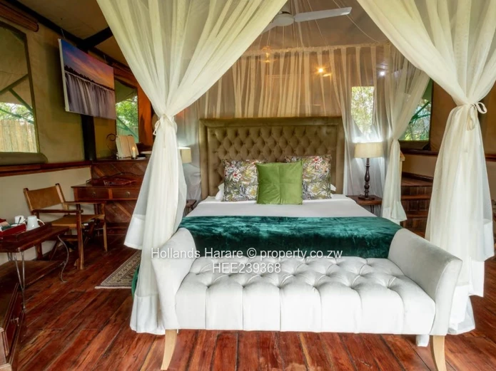 Luxury Safari Lodge