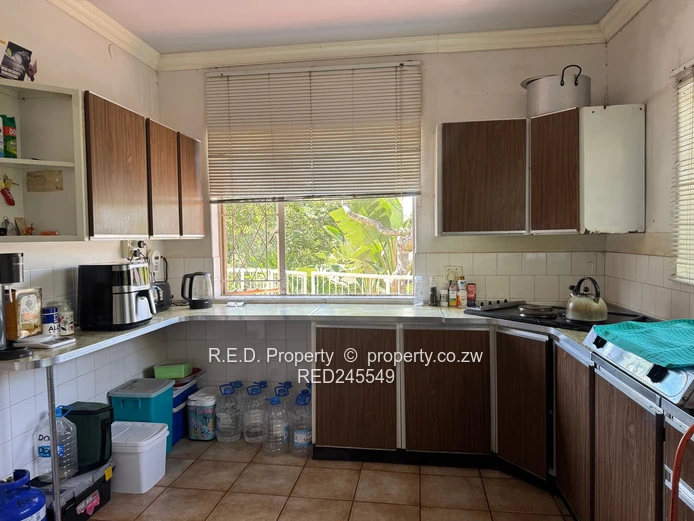 Business and Executive