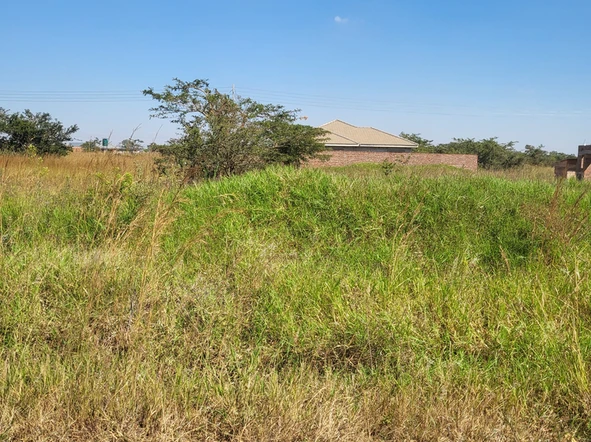 Stands & Residential Land